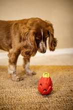 Charger l&#39;image dans la galerie, Le jouet à mâcher pour chien PITAJA
