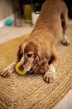 Charger l&#39;image dans la galerie, Le ballon pour chiens CATY
